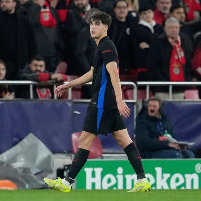 1741223205930016413.jpg GlTgZ8xWkAARvO4.jpg